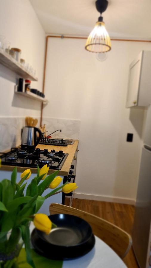 Apartament Boho 克沃兹科 外观 照片